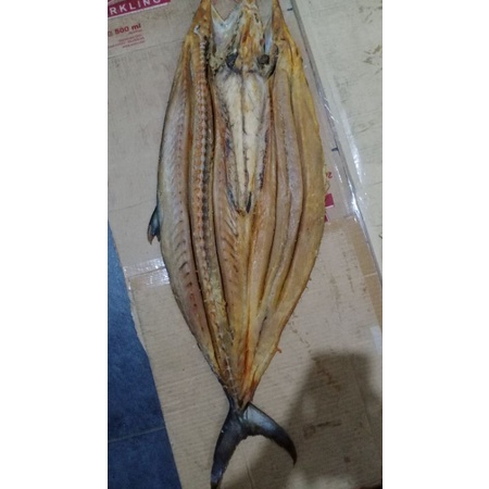 

tenggiri per ekor berat 8 ons