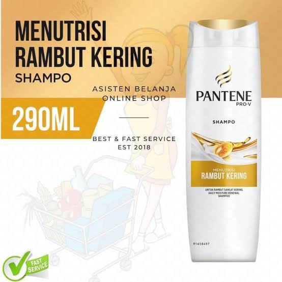 Pantene Shampoo Daily Moisture Renewal 290 ml