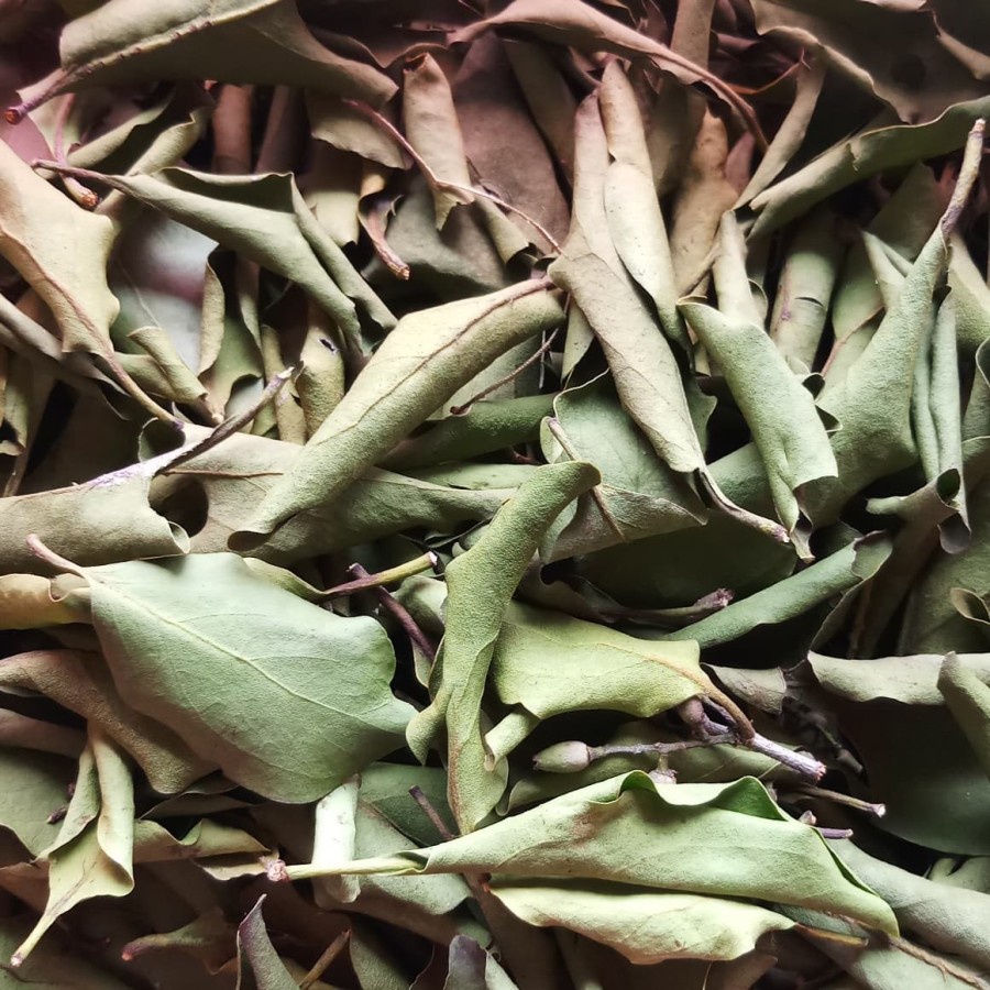 

Daun benalu liar teh Herbal (Kering) non batang