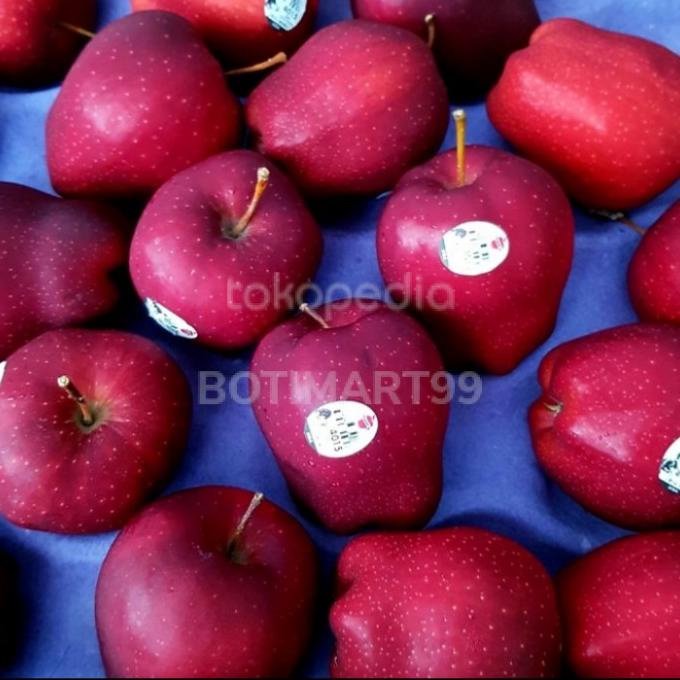 

APEL WASHINGTON IMPORT PREMIUM FRESH / BOX FH51515ED