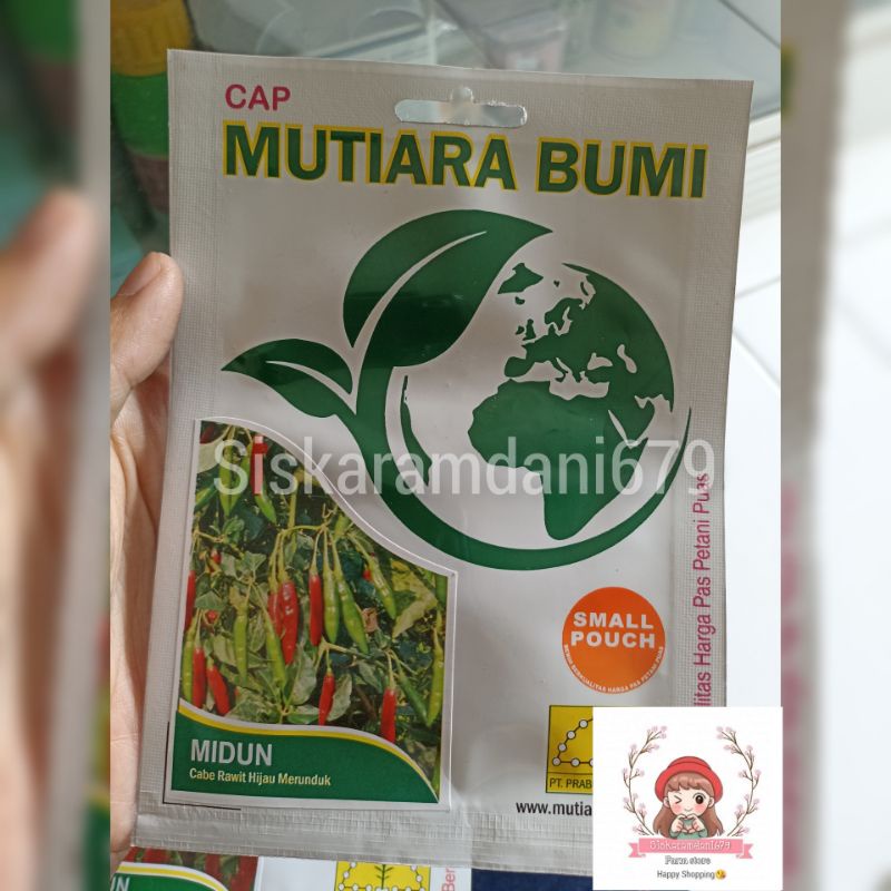 BENIH CABE RAWIT HIJAU MERUNDUK (MIDUN) CAP MUTIARA BUMI ISI 500 BUTIR