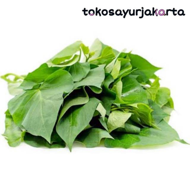 

Daun Ubi, Genjer, Katuk, Daun Singkong, Daun Pepaya, Lalapan Poh Pohan, Kemangi, Kangkung, Bayam, Pakcoy, Pokcay / Sayuran Segar