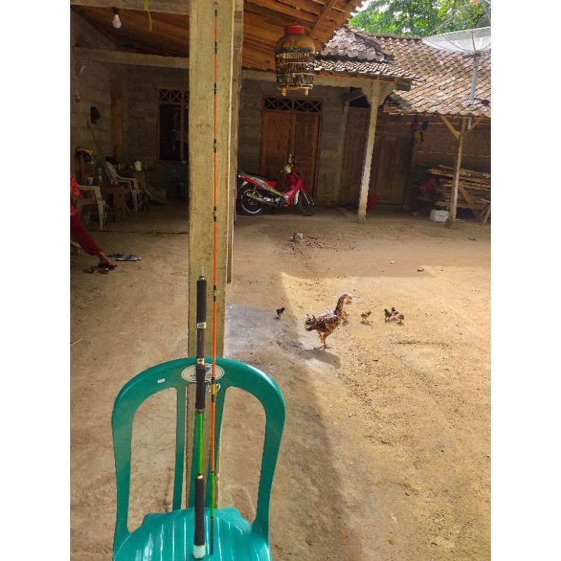 joran jigingg sutet full fuji