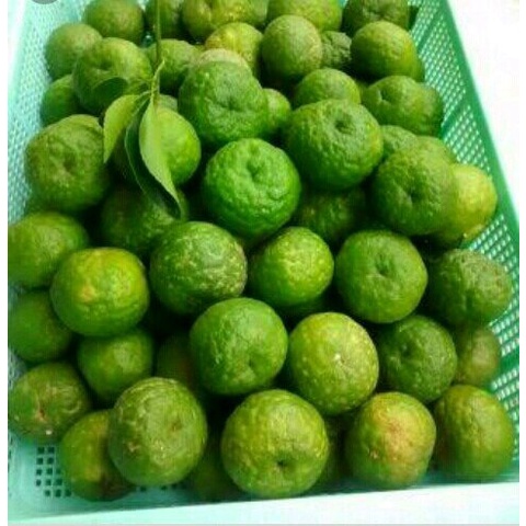 

JERUK LIMAU BERKUALITAS 250GR