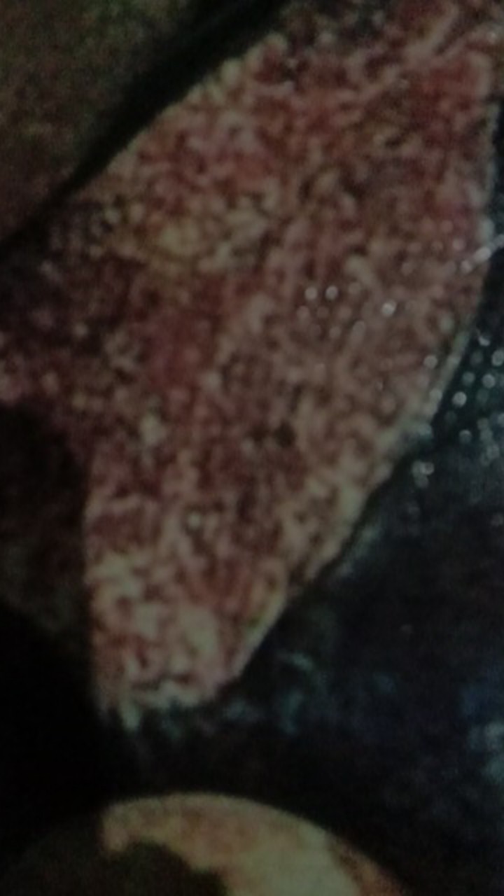 Bg04 Toples Calista Tonam Set 7 In 1 Wadah Kue Lebaran