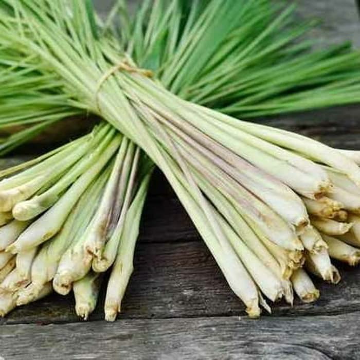 

Sereh Jumbo 1kg
