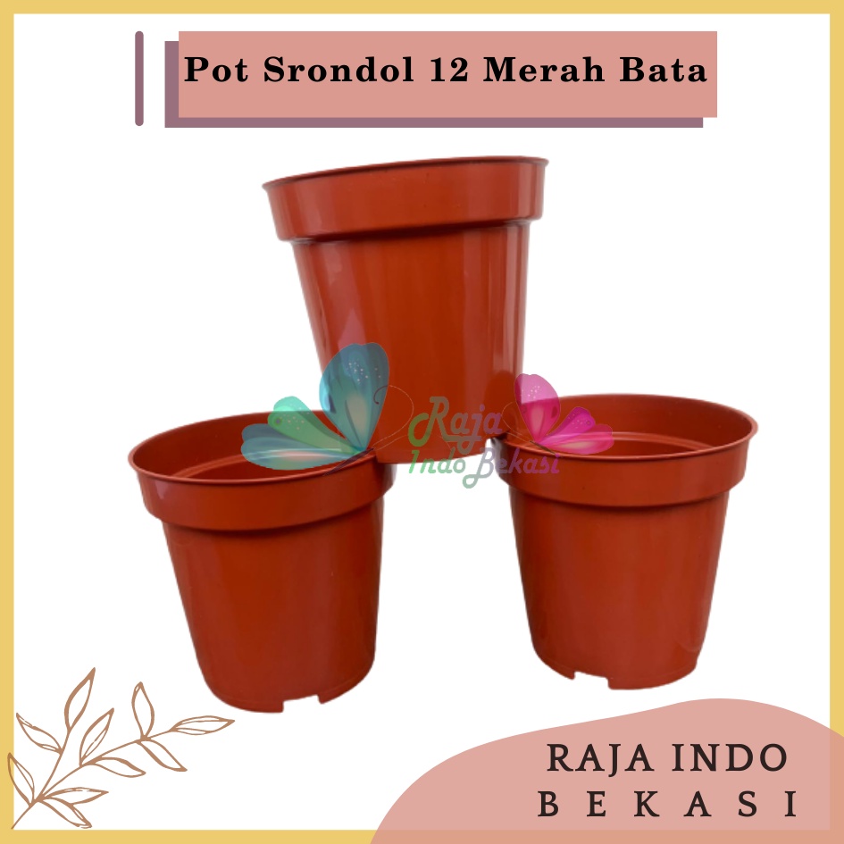 Pot Tinggi Srondol 12 Merah BataTerracota Terracotta Merah Coklat - Pot Tinggi Usa Eiffel Effiel 18 20 25 Lusinan Pot Tinggi Tirus 15 18 20 30 35 40 50 Cm Paket murah isi 1 lusin pot bunga plastik lusinan pot tanaman Pot Bibit Besar Mini Kecil Pot Srondol