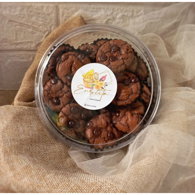 

Cocip Brownie