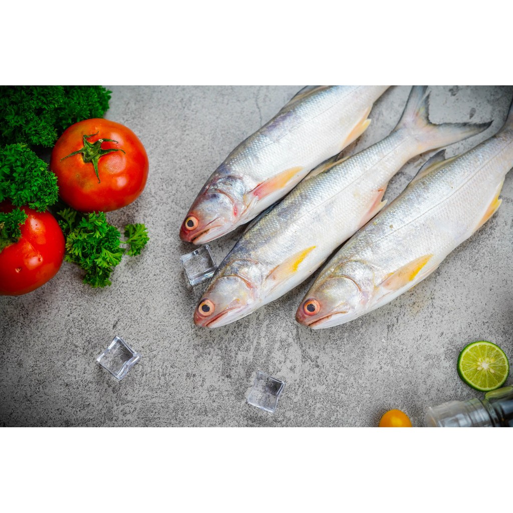 

IKAN SENANGIN | IKAN KURO | FRESH