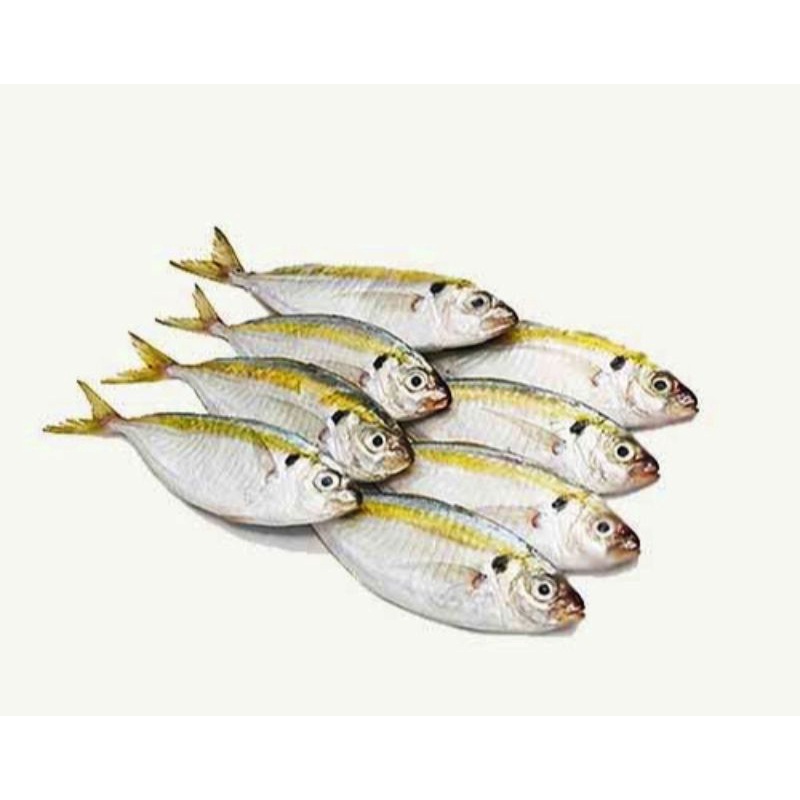 

Ikan Basah Selar Segar |Ikan Laut 250 gr Grab Only