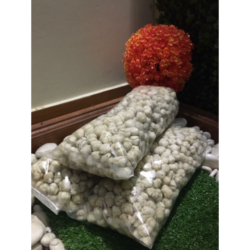 

tiktak kencurr TERMURAH