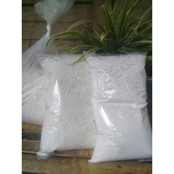 

pati garut/500gr