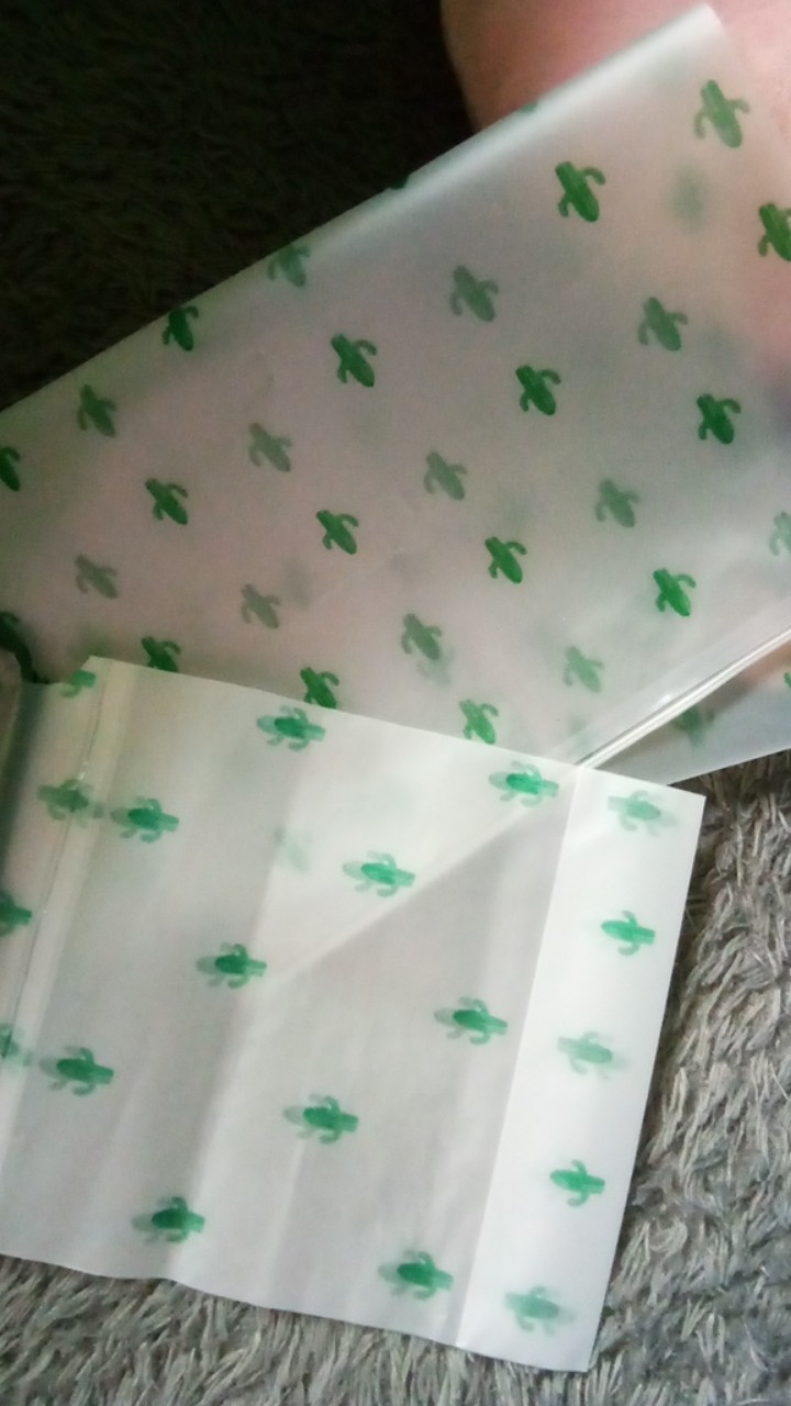 Batamgrosir.id | Kantong Storage Bag Ziplock Motif Kaktus Sedang Part 1