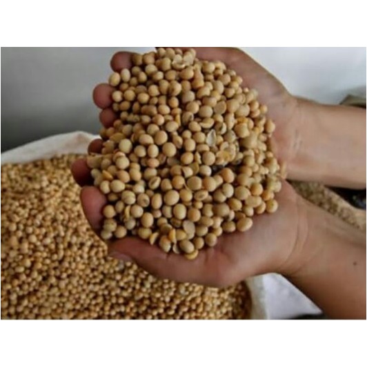 

Kacang Kedelai ( @ 250 Gram )