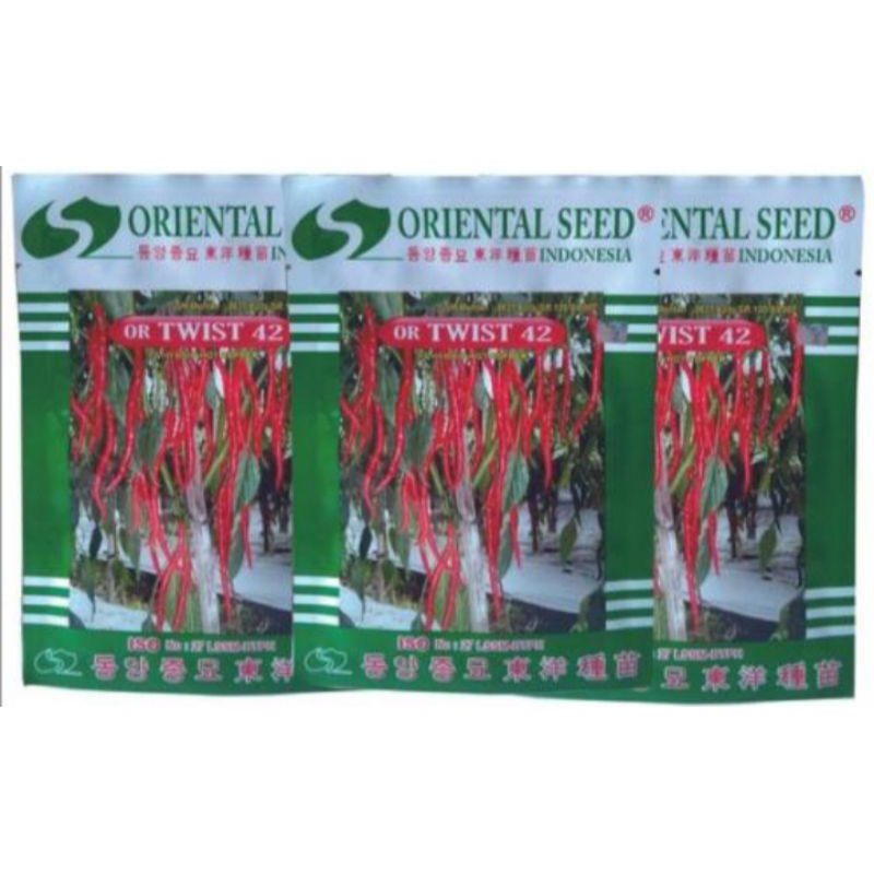 Benih cabe kriting Or twist 42  | 10 gram