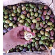 

Buah Matoa