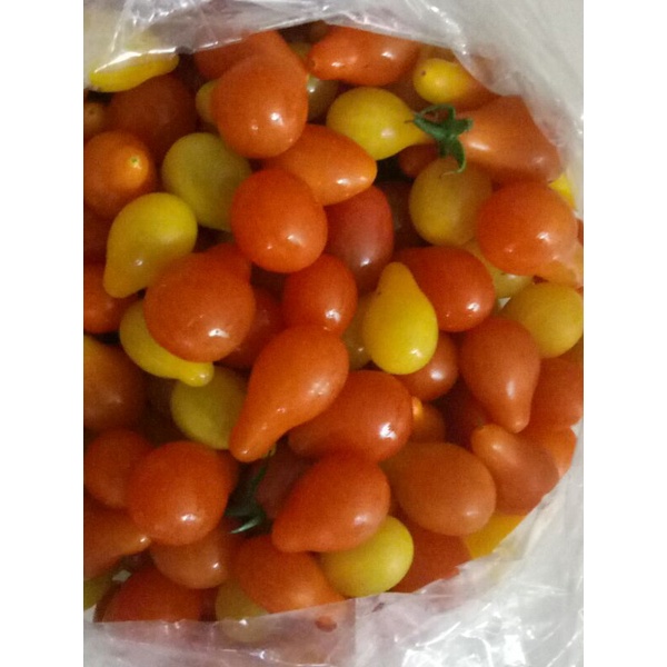 

TOMAT CHERRY FRESH