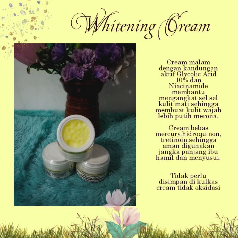 Whitening Night Cream (Aman utk bumil/busui)