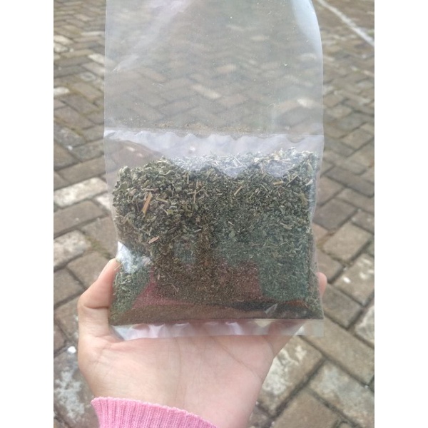 

kachiang ma / kaciangma / kacang ma