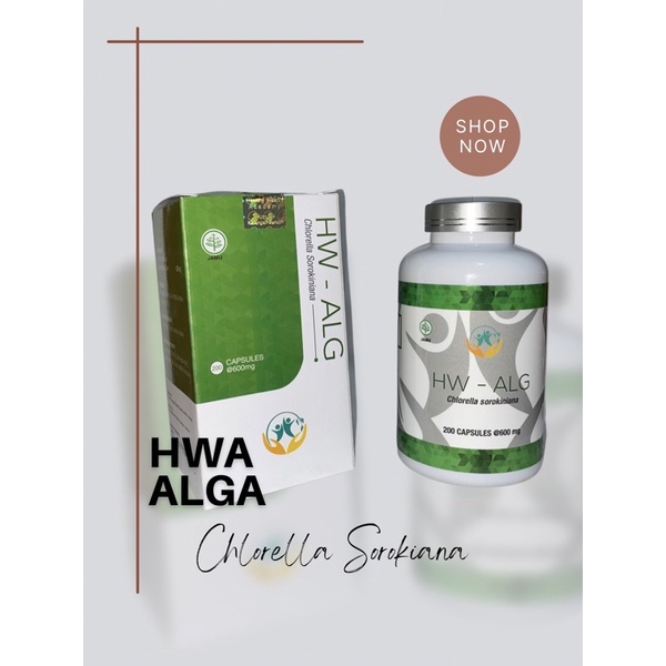 HWA HW-ALGA Suplemen Nutrisi Vitamin Chlorella Sorokiana Terbaik
