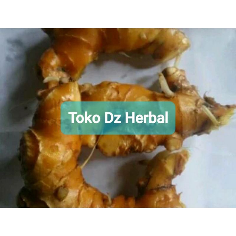 

Umbi panglai segar 400 gram / rimpang panglai