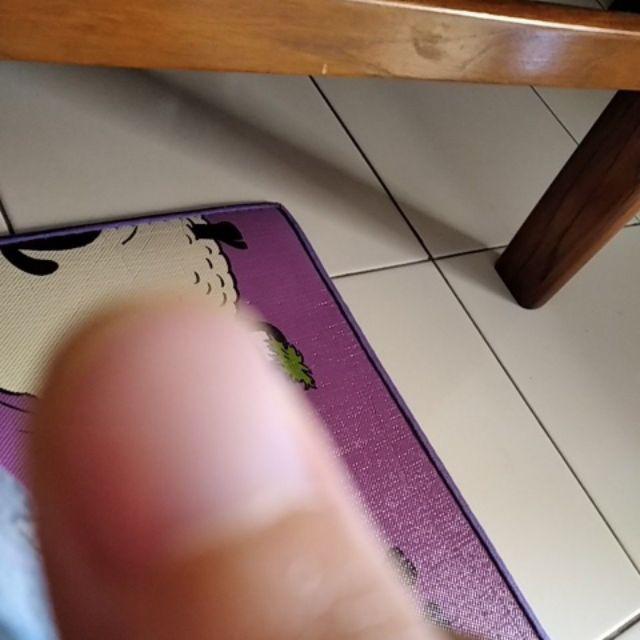 Alumunium + Double Tape Door Brush Bottom Seal / Lis Bulu Penutup Celah Lubang Bawah Pintu