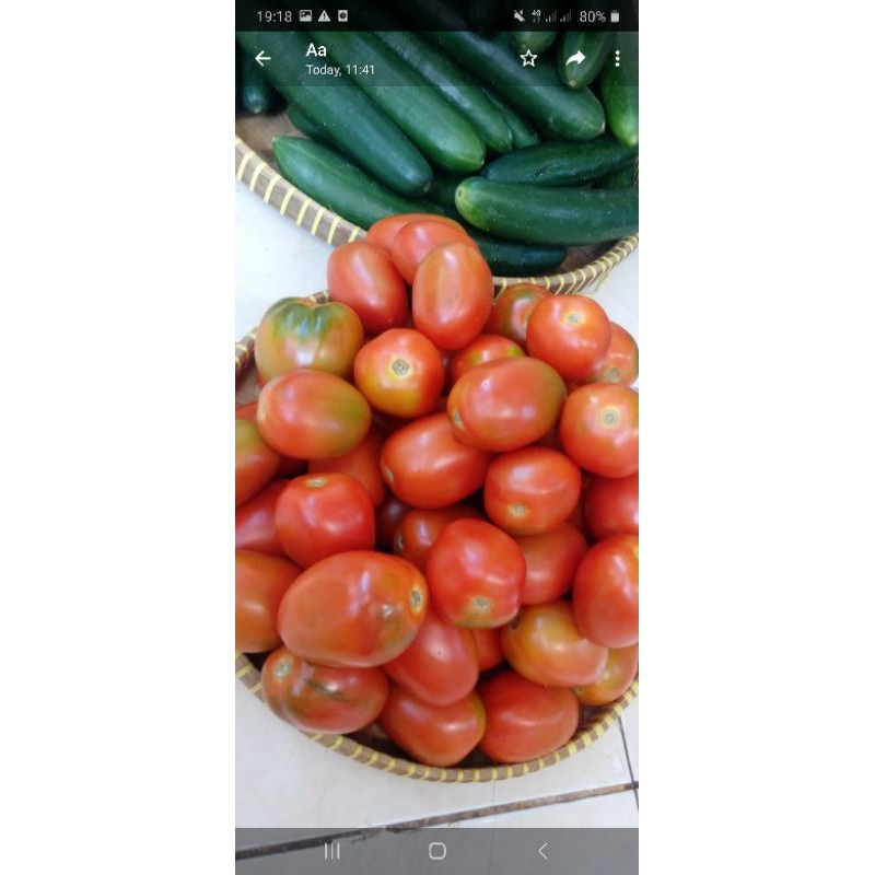 Tomat segar 1kg