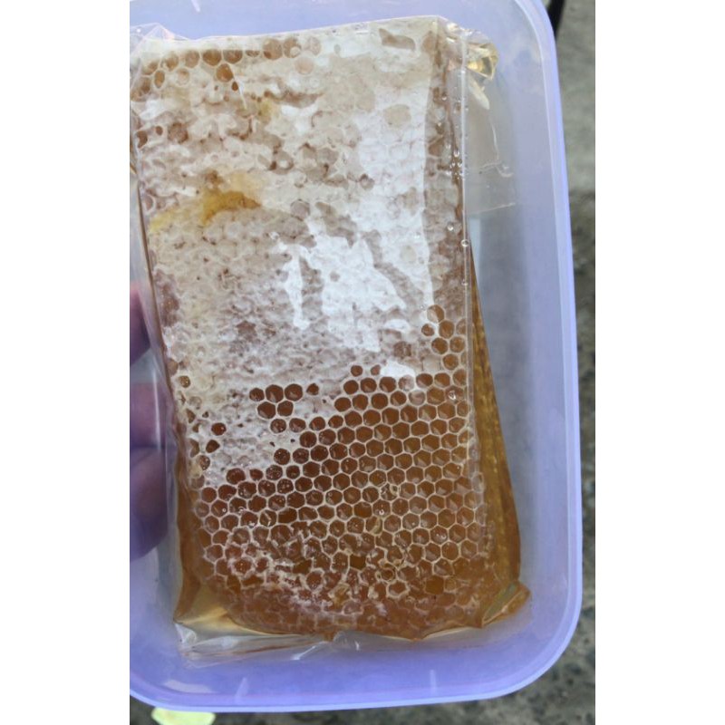 

Madu Sarang | Honey Combo 500gr