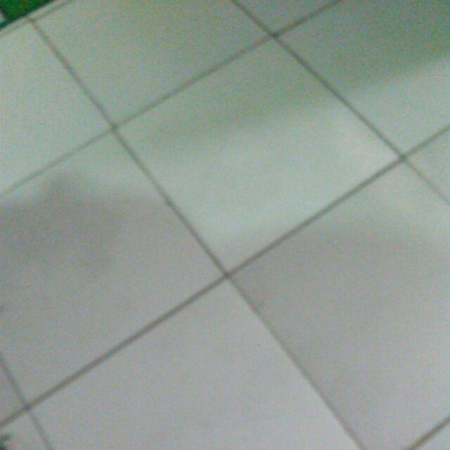 Theona.tata Botol Minum Karakter Big Bear 500ml