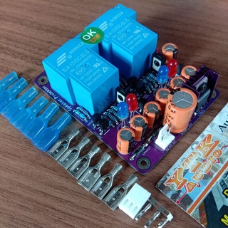 Kit Speaker Protektor Stereo