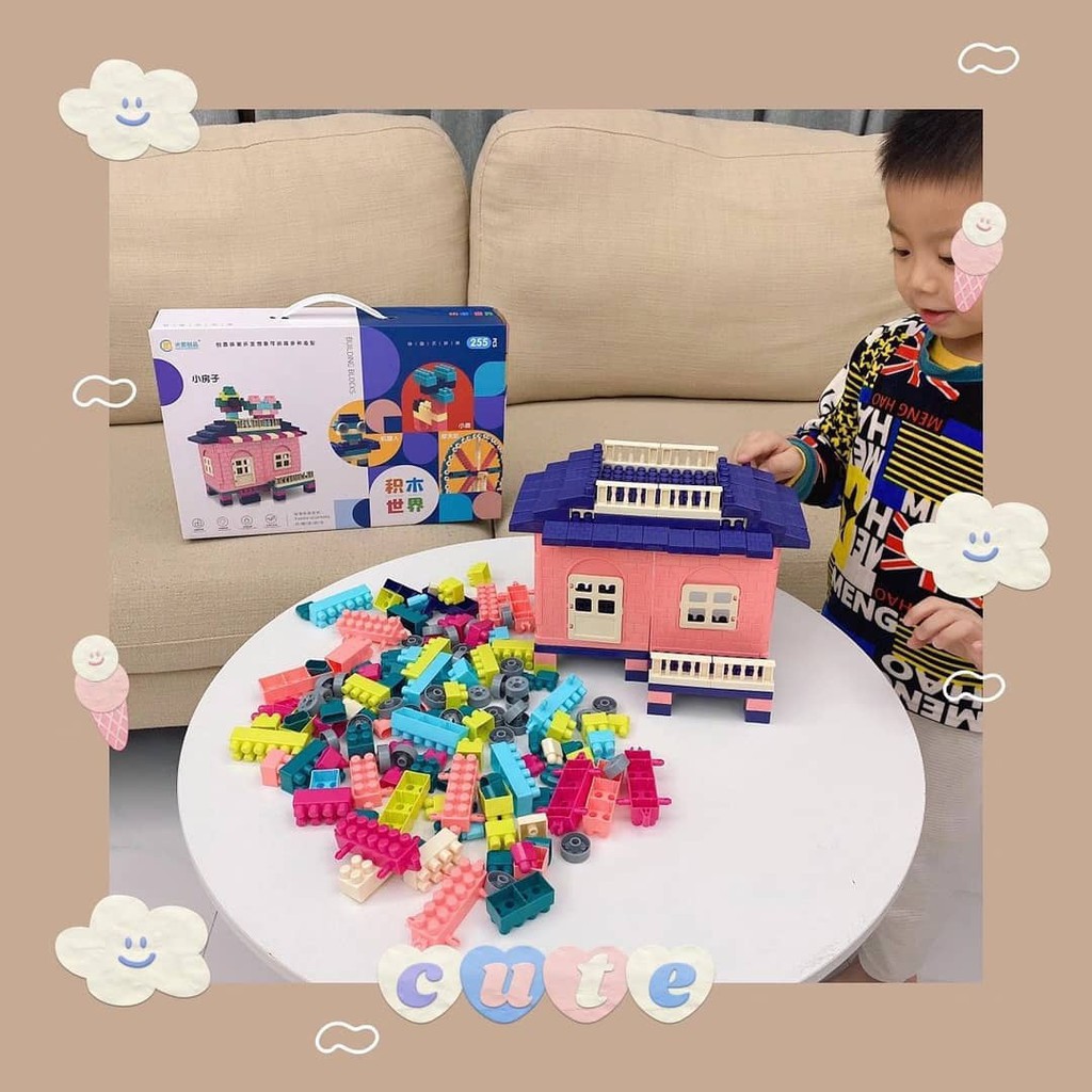 BIANCA - Mainan Lego Rumah 255pc Box Printed