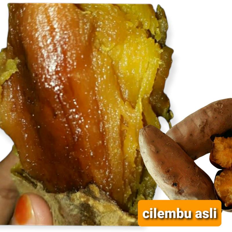 

Ubi Super jumbomatang oven 1kg