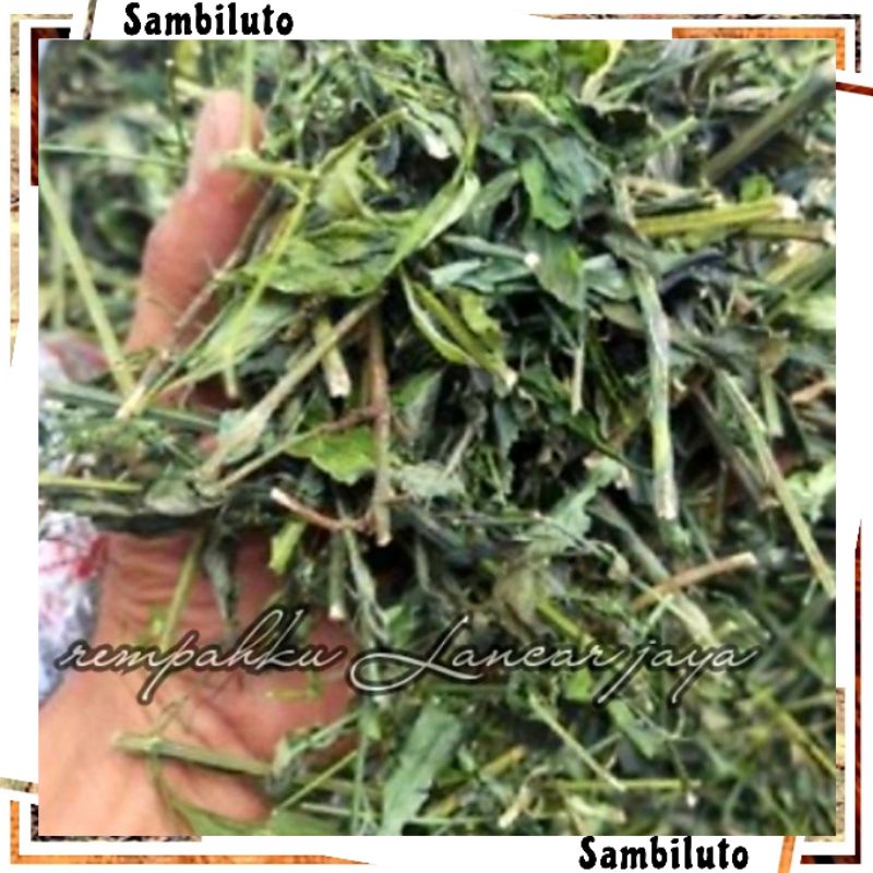 SAMBILUTO/SAMBIROTO KERING 100gr