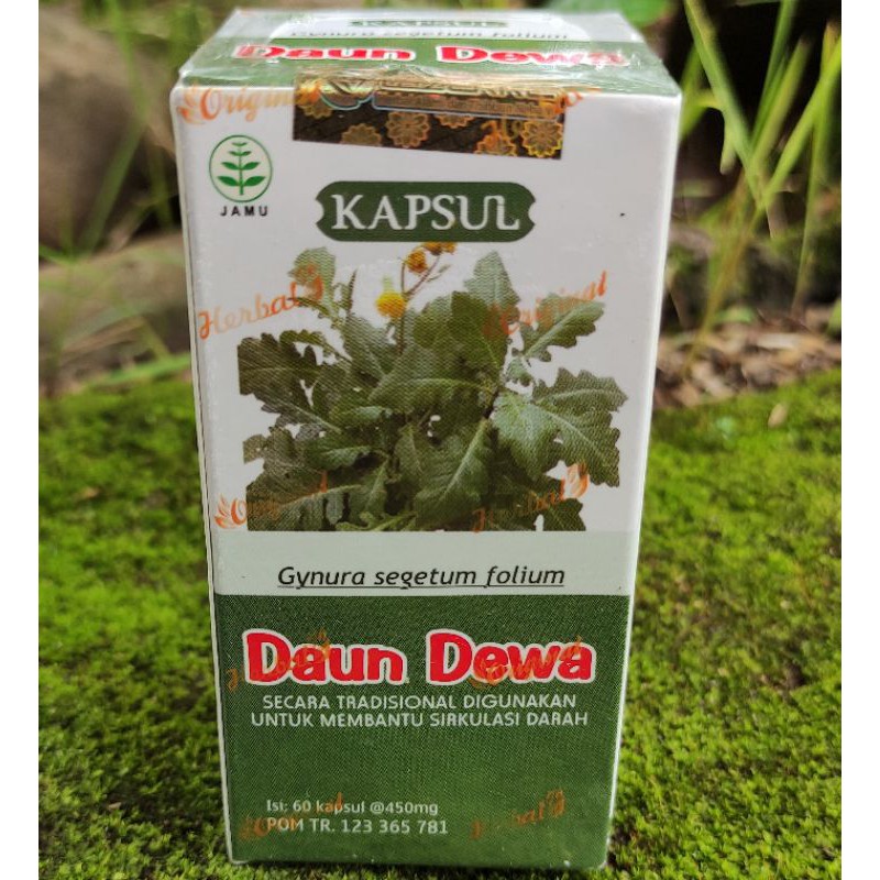 

Kapsul Herbal Daun Dewa | Kapsul Ekstrak Daun Dewa Mamapu Mengobati Stoke Dan Penurun Darah Tinggi