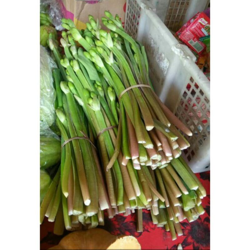 

SAYUR GENJER SEGAR PER IKAT