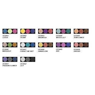 LA COLORS 3 COLOR EYESHADOW