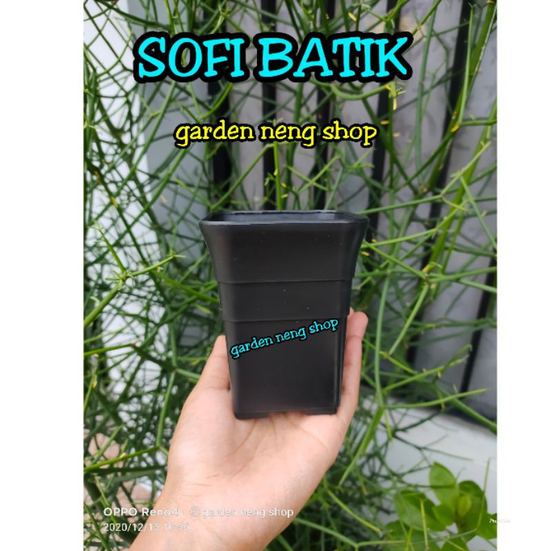 POT KOTAK HITAM 8CM/ POT KOTAK SOFI BATIK HITAM-POT KAKTUS 8 CM HITAM MINI BUKAN POT BUNGA SEKULENT