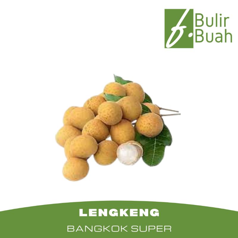 

Buah Segar Lengkeng Madu/500Gr