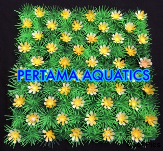 RUMPUT SAKURA KUNING FULL/ TANAMAN HIASAN AQUARIUM/ RUMPUT ...