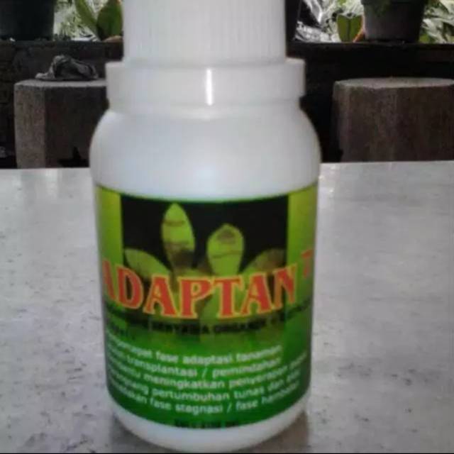 Adaptan atau vitamin B1 untuk anggrek