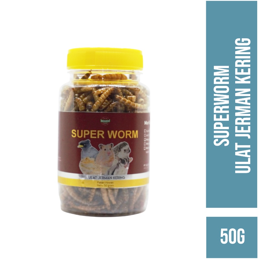 SUPER WORM - Ulat Jerman Kering Makanan Hewan Ikan, Reptil, Sugar Glider, Hamster, dan Landak mini