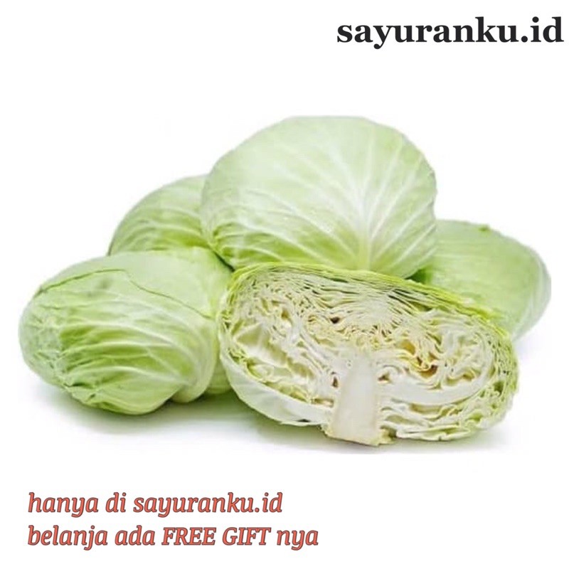 

kol putih/ kubis putih 500 gram sayur segar sayuran fresh pasar murah pasar jakarta