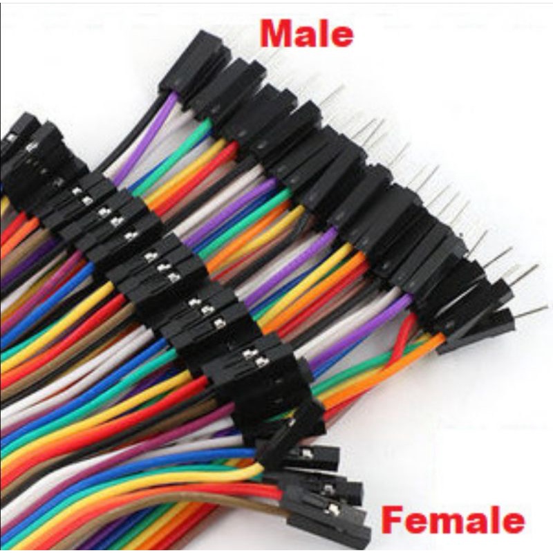 Kabel Jumper 40 pin 20 cm CABLE WIRE 40pcs 20CM 40P Female Male Dupont