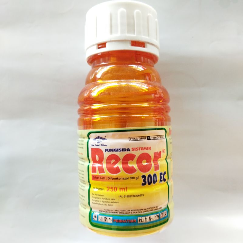 Fungisida RECOR 300EC 250ml, fungisida sistemik preventif & kuratif, bulai pada jagung