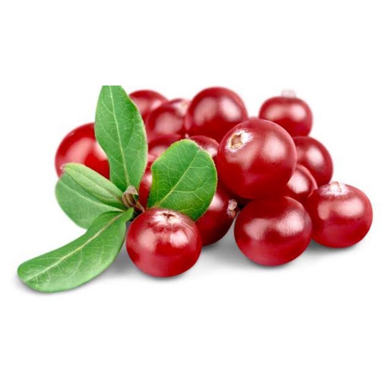 Benih biji buah cranberry