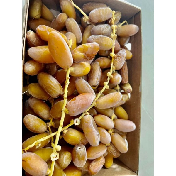 

Kurma muda promil penyubur kandungan / Kurma basah libya termurah