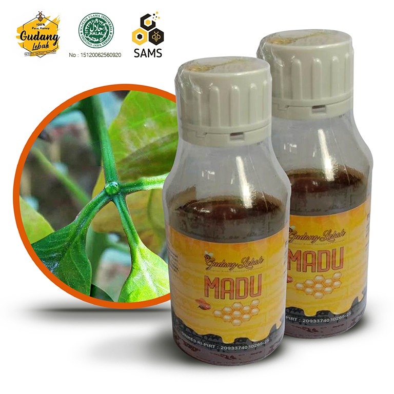 

Madu Murni Karet Asli Gudang Lebah