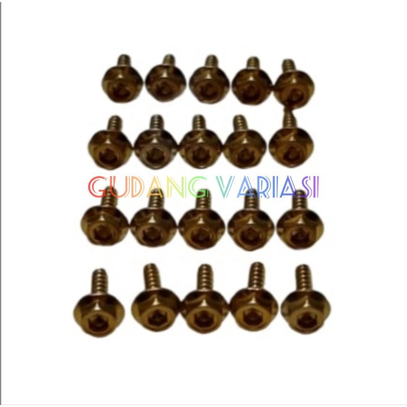 BAUT BODY PROBOLT MODEL 2 KUNCI 2 TONE GOLD CROME