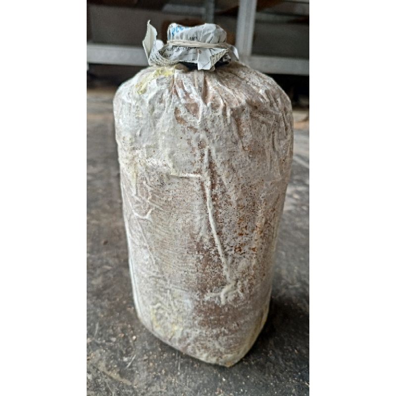 budidaya jamur tiram / media baglog jamur tiram