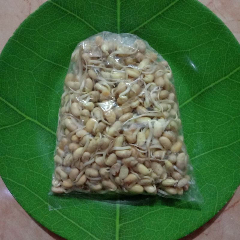 

Toge kedelai / kecambah 250 gram